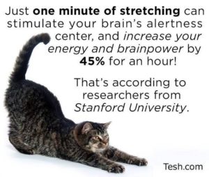 One minute of stretching helps focus