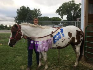Aaron with horse Vegas showcasing their ribbons from 2016 fair.
